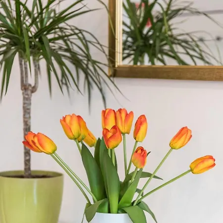 Guestready - The New Made In Apartment *